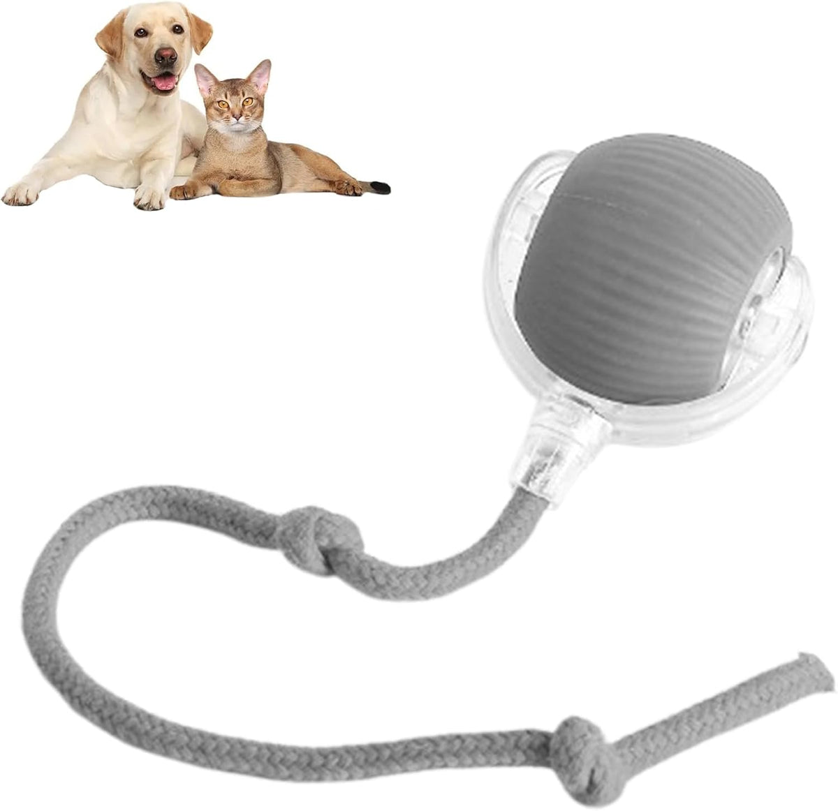 Smart Chasing Pet Toy Ball