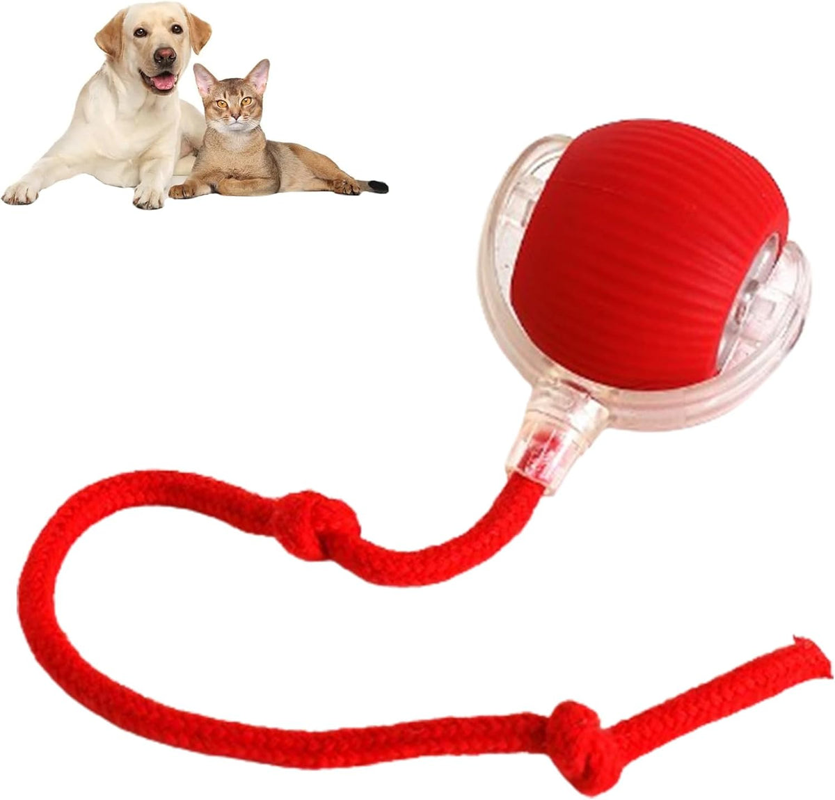 Smart Chasing Pet Toy Ball