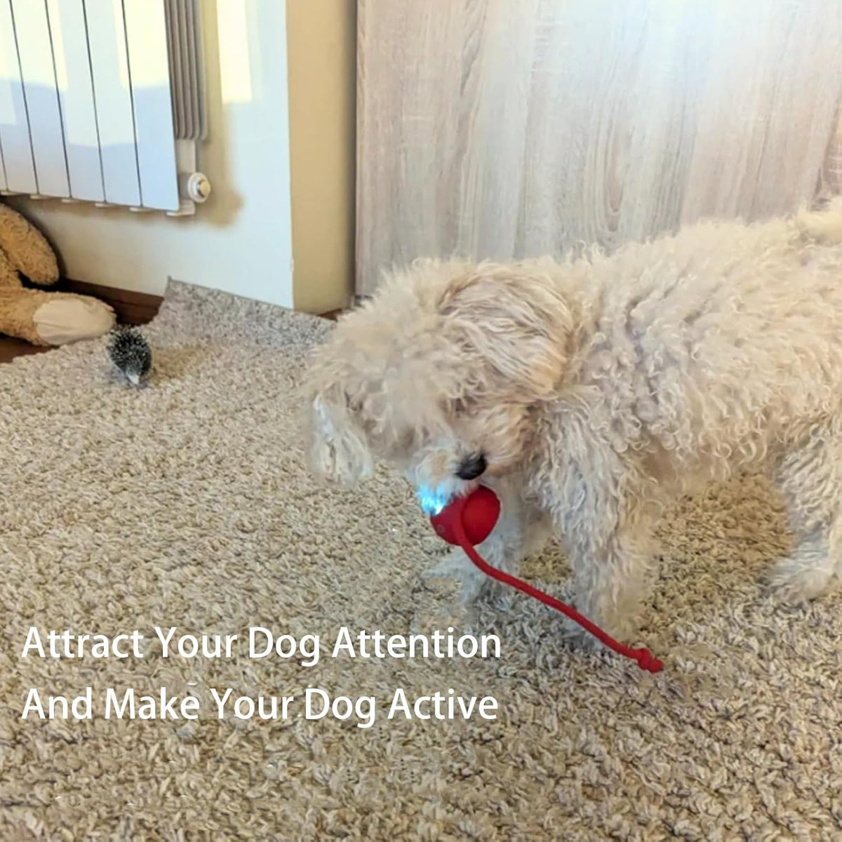 Smart Chasing Pet Toy Ball