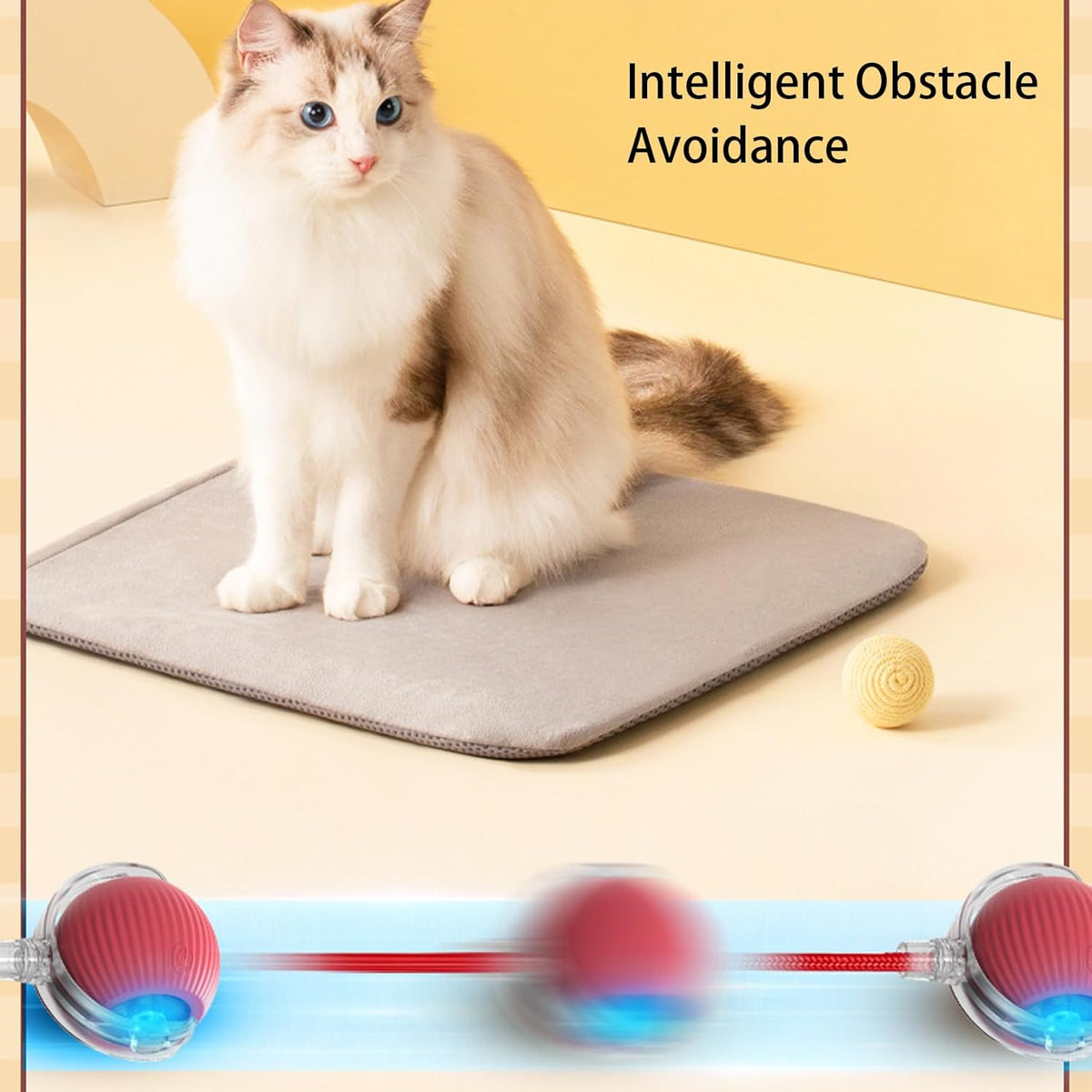 Smart Chasing Pet Toy Ball