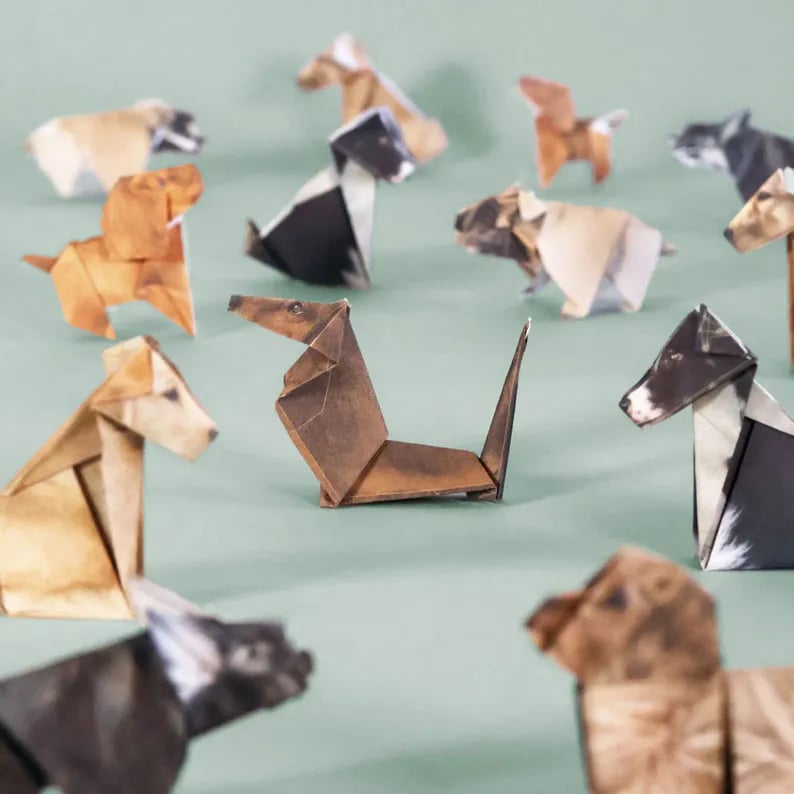 DIY-papirkatter