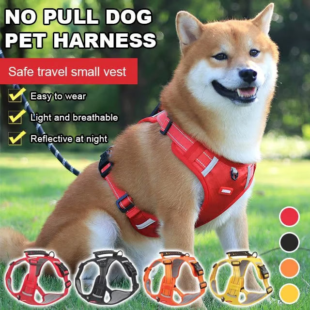 đ„ 50 % BLACK FRIDAY-SALG! đâđŠș Hundesele mot drag đŸ Slutt pĂ„ rykking i bĂ„ndet!
