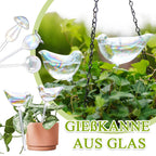 Fargerik soppvanningskanne/fargerikt automatisk vanningssystem laget av glass