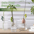 Søt plantestøtte espalier