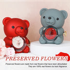 💝Bjørnens overraskelsesgaveeske
