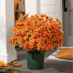 💥Siste dag! Kun 26 NOK per stk – Kunstige utendørsblomster “Sunset Mums” – UV-bestandige, vanntette og vindtette