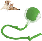Smart Chasing Pet Toy Ball
