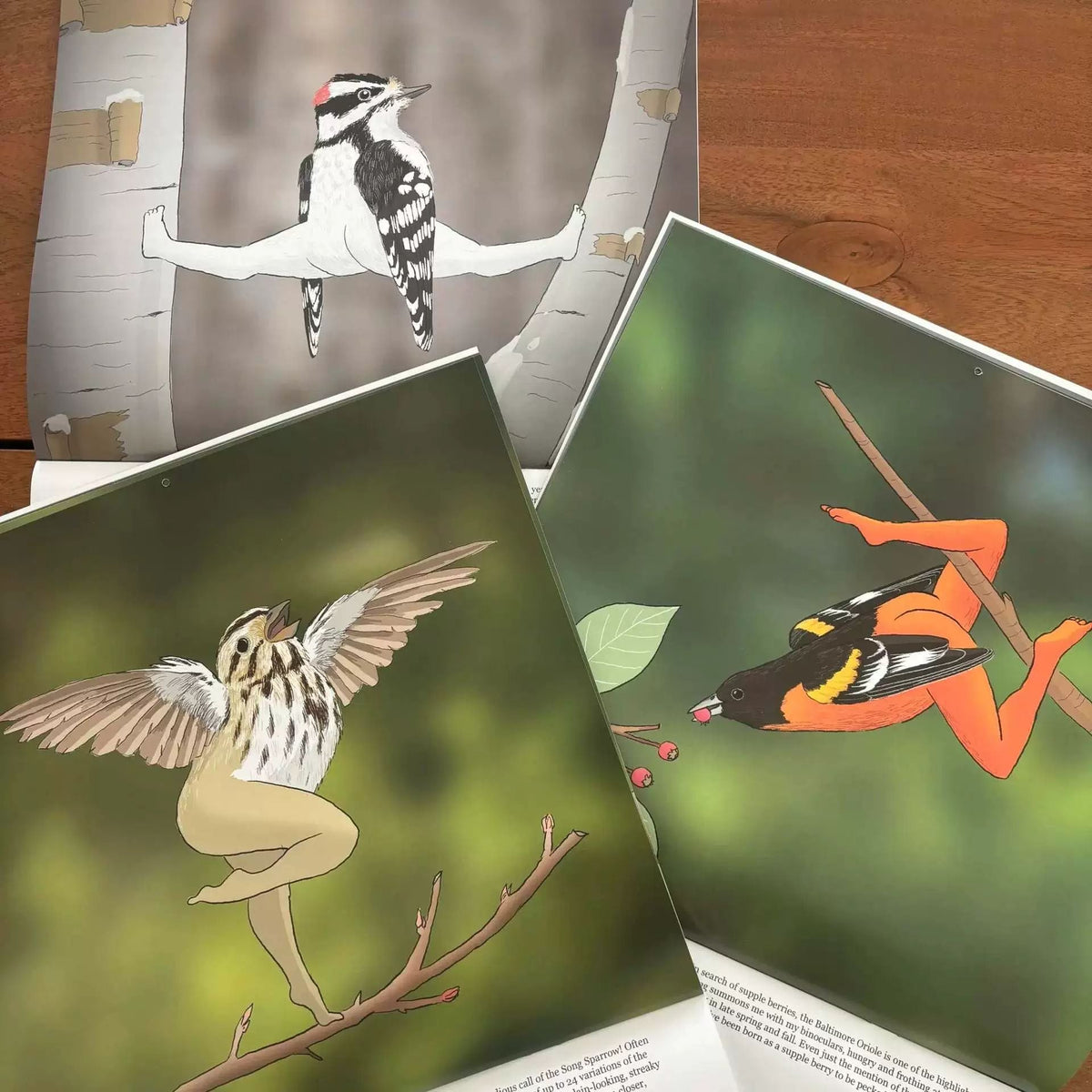🔥2026 NYHET🔥2026 Kalender med ekstremt nøyaktige fugler🐦📅
