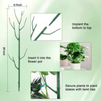 💕💖🌿Hagearbeid Grønn plante støtte ramme
