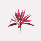 Artificial Ti Plant