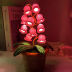 Lily Bloom nattlys
