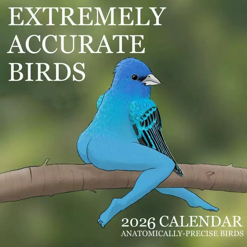 🔥2026 NYHET🔥2026 Kalender med ekstremt nøyaktige fugler🐦📅
