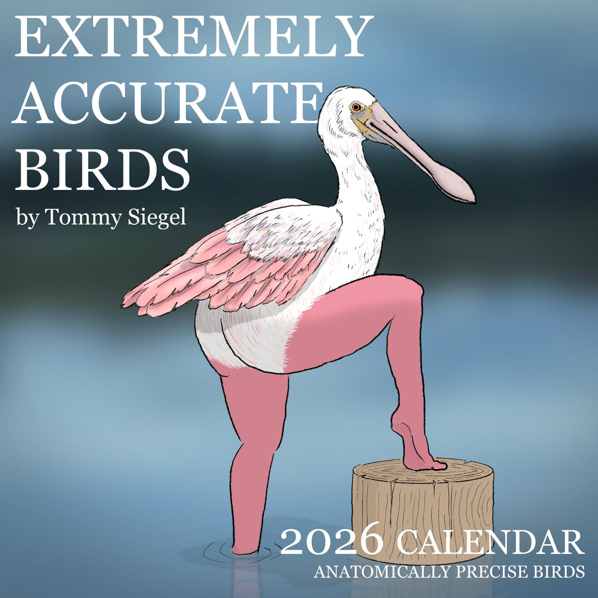 🔥2026 NYHET🔥2026 Kalender med ekstremt nøyaktige fugler🐦📅