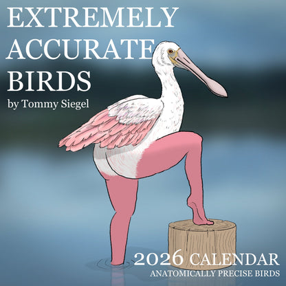 🔥2026 NYHET🔥2026 Kalender med ekstremt nøyaktige fugler🐦📅