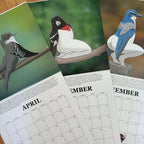 🔥2026 NYHET🔥2026 Kalender med ekstremt nøyaktige fugler🐦📅