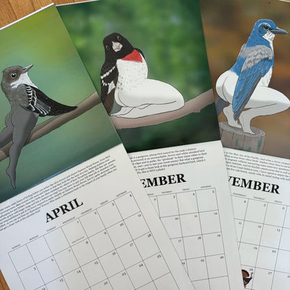 🔥2026 NYHET🔥2026 Kalender med ekstremt nøyaktige fugler🐦📅