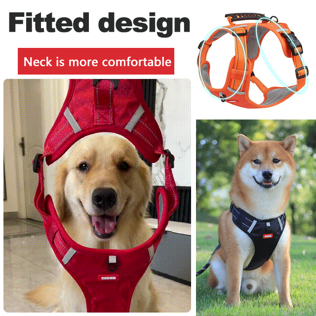 🔥 50 % BLACK FRIDAY-SALG! 🐕‍🦺 Hundesele mot drag 🐾 Slutt på rykking i båndet!
