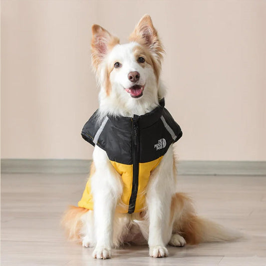 🐶Vanntett vindtett vinterfrakk til hund