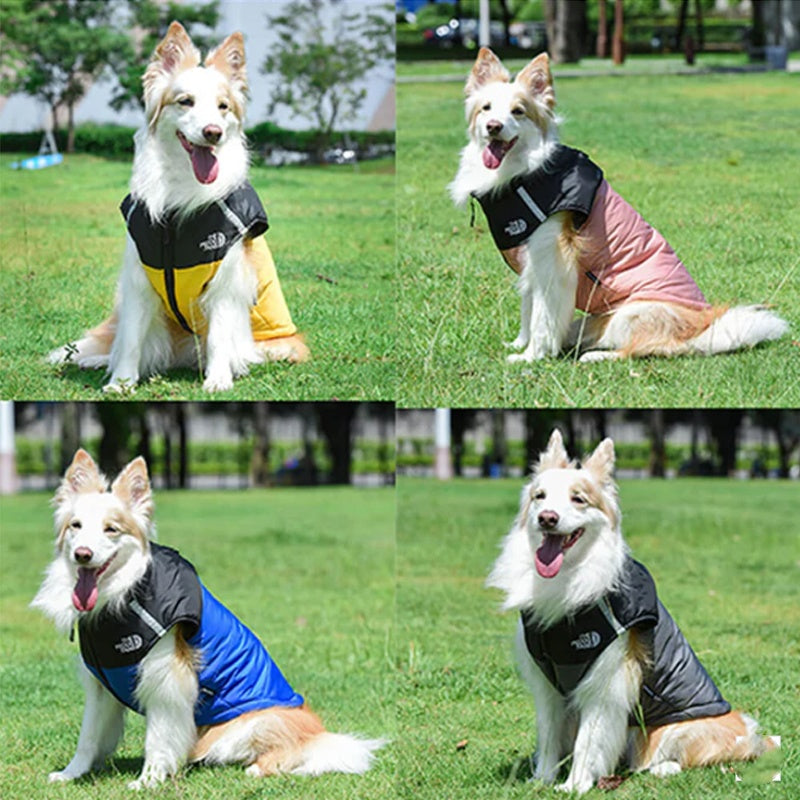 🐶Vanntett vindtett vinterfrakk til hund